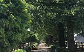Oak Lane Guest House & Farm Stay